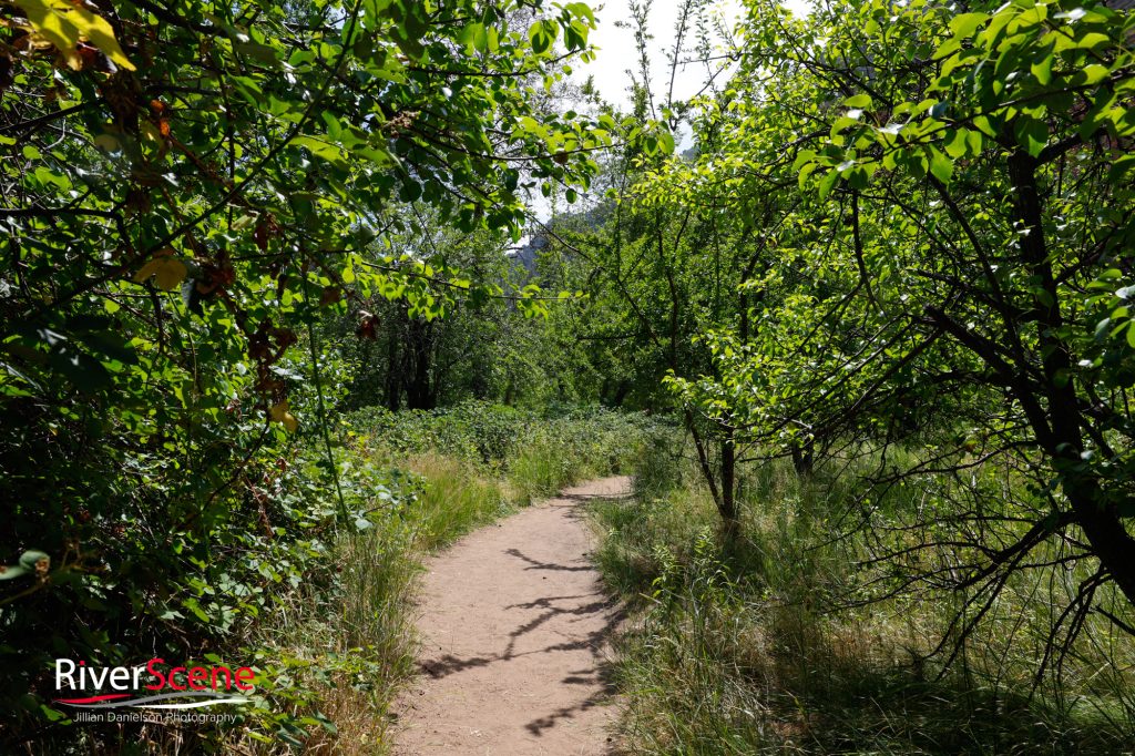 Oak Creek Canyon Sedona 