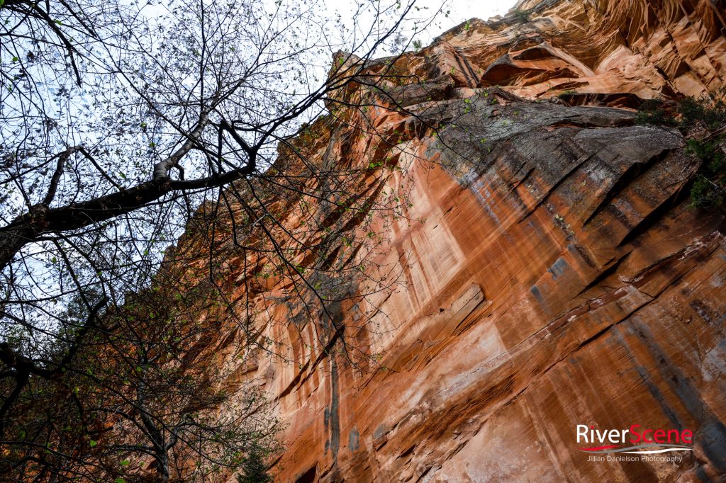 Oak Creek Canyon Sedona 