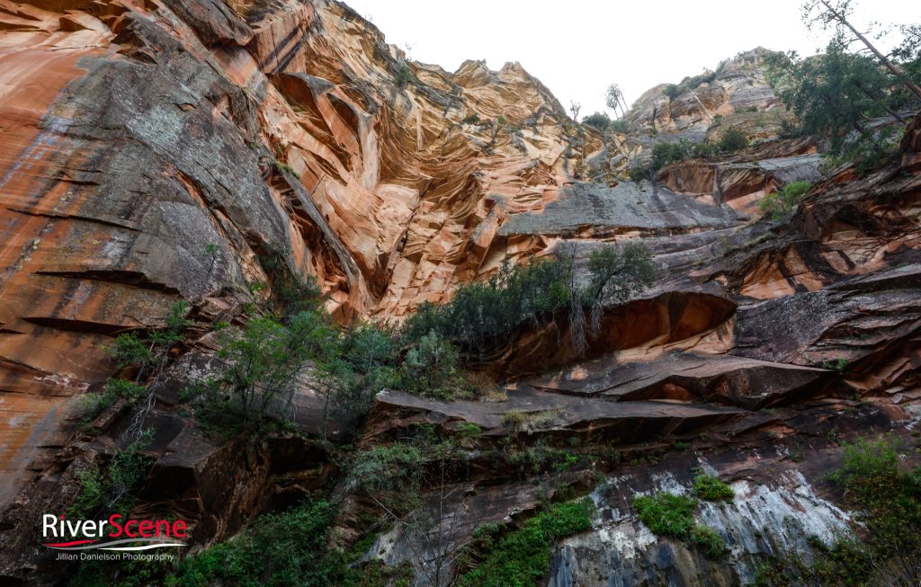 Oak Creek Canyon Sedona 