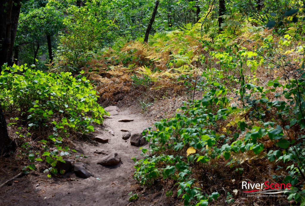 Oak Creek Canyon Sedona 