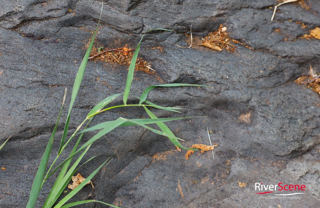 Oak Creek Canyon Sedona 