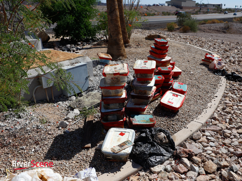 Lake Havasu City London Bridge Welcome Sign RiverScene Magazine Jillian Danielson Photography time capsule 