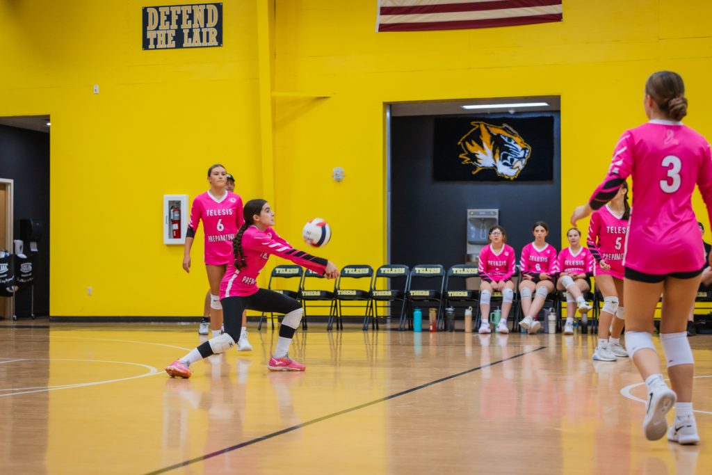 Telelsis Volleyball Lake Havasu RiverScene Magazine