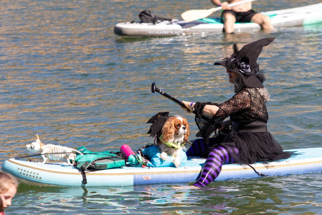 Witch Paddle 2025 Lake Havasu