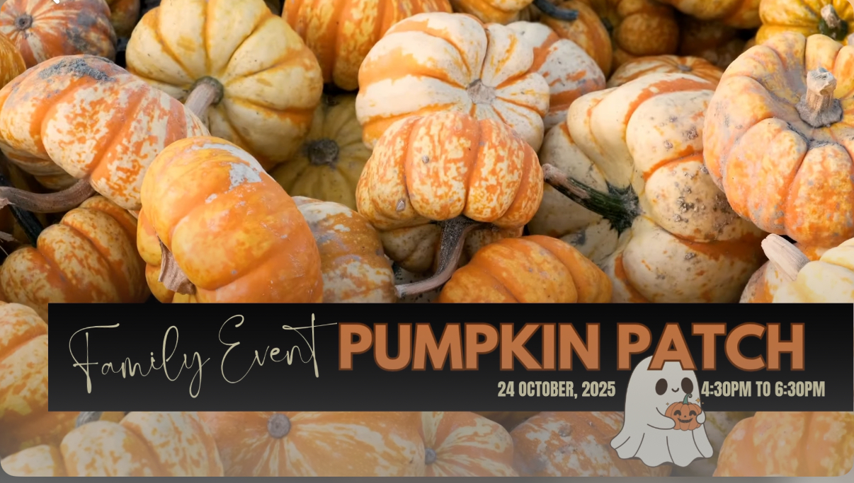 Pumpkin Patch at Vista Pointe