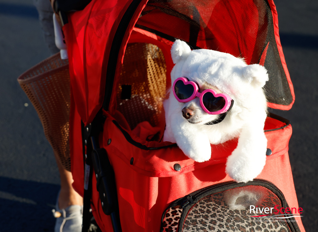 Halloween Fright Night Golf Course Lake Havasu 2025 Jillian Danielson Photography