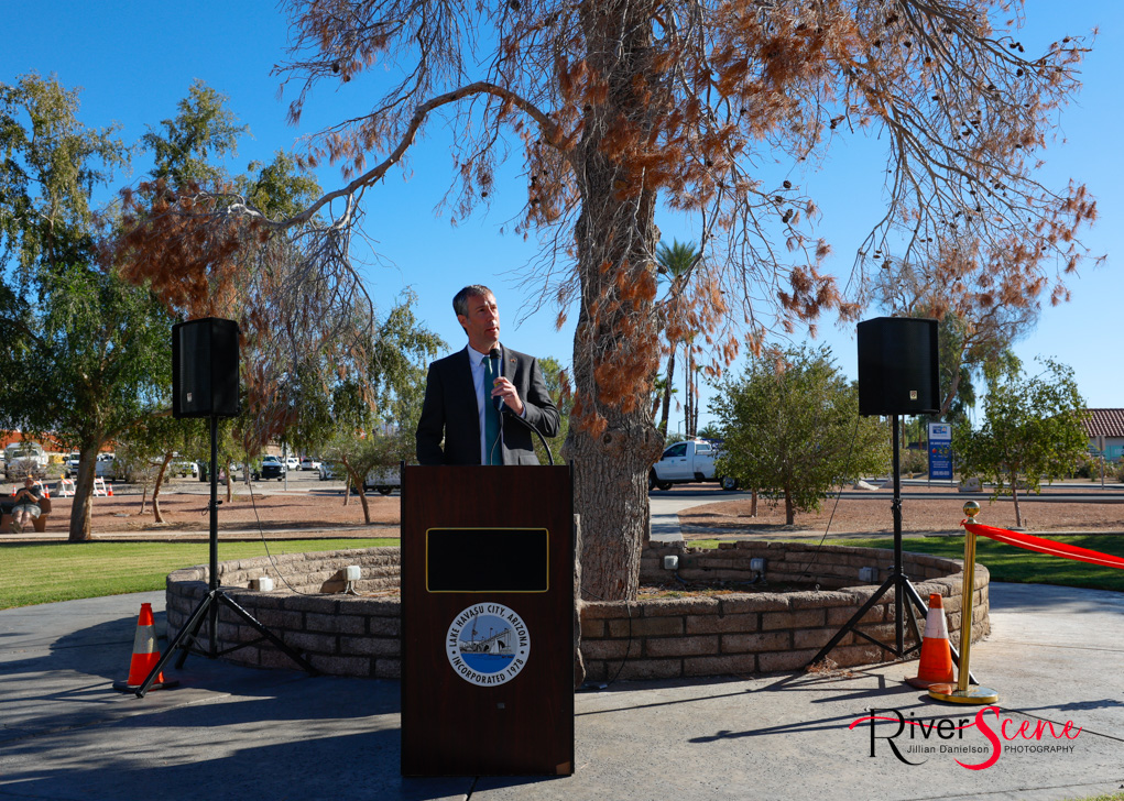 Christmas Tree Wheeler Park RiverScene Magazine Jillian Danielson Photography Havasu Pioneers Parks and Recreation Lake Havasu 