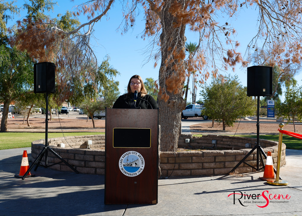 Christmas Tree Wheeler Park RiverScene Magazine Jillian Danielson Photography Havasu Pioneers Parks and Recreation Lake Havasu 