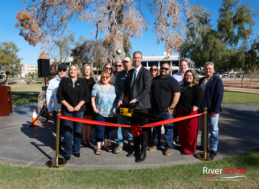 Christmas Tree Wheeler Park RiverScene Magazine Jillian Danielson Photography Havasu Pioneers Parks and Recreation Lake Havasu 