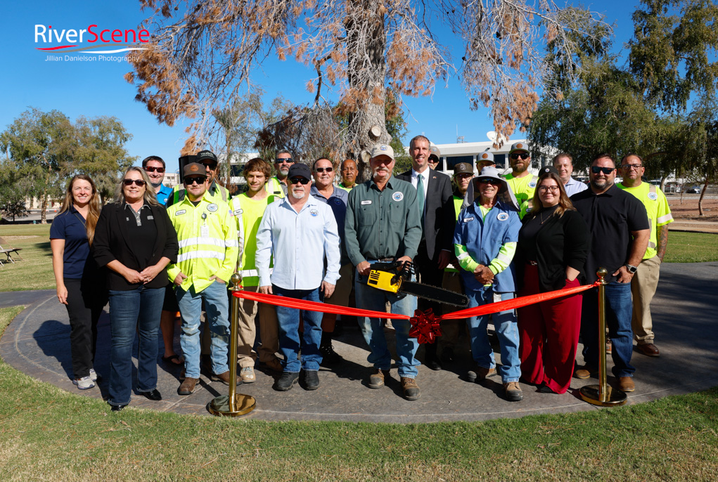 Christmas Tree Wheeler Park RiverScene Magazine Jillian Danielson Photography Havasu Pioneers Parks and Recreation Lake Havasu 