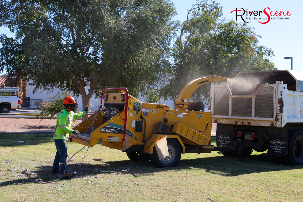 Christmas Tree Wheeler Park RiverScene Magazine Jillian Danielson Photography Havasu Pioneers Parks and Recreation Lake Havasu 