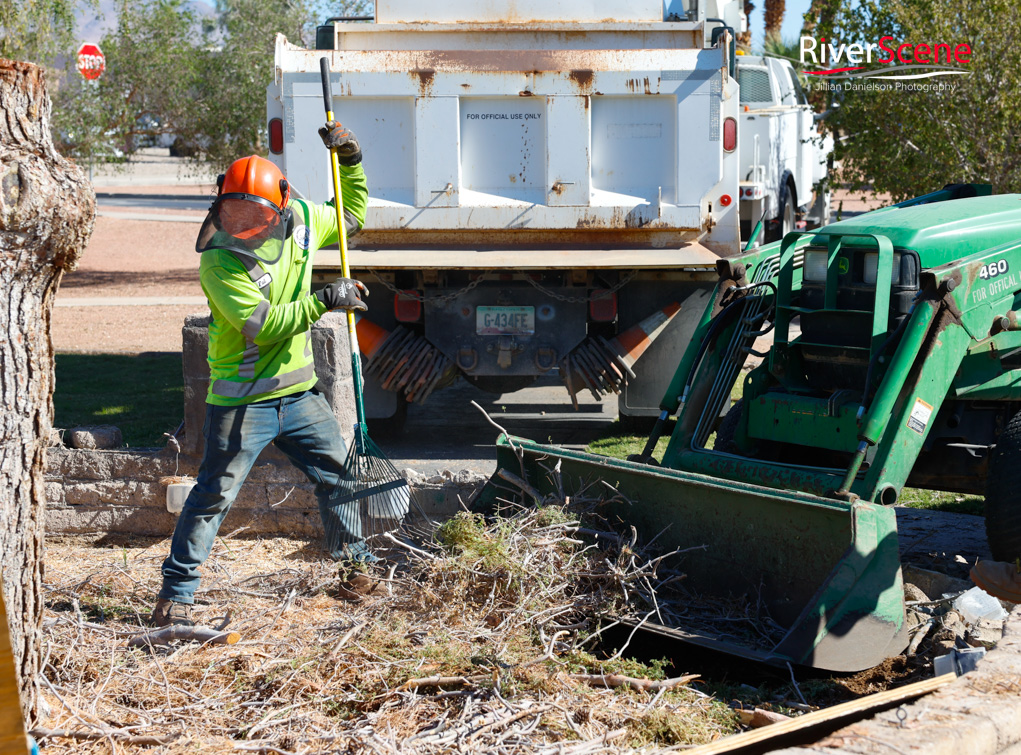 Christmas Tree Wheeler Park RiverScene Magazine Jillian Danielson Photography Havasu Pioneers Parks and Recreation Lake Havasu 