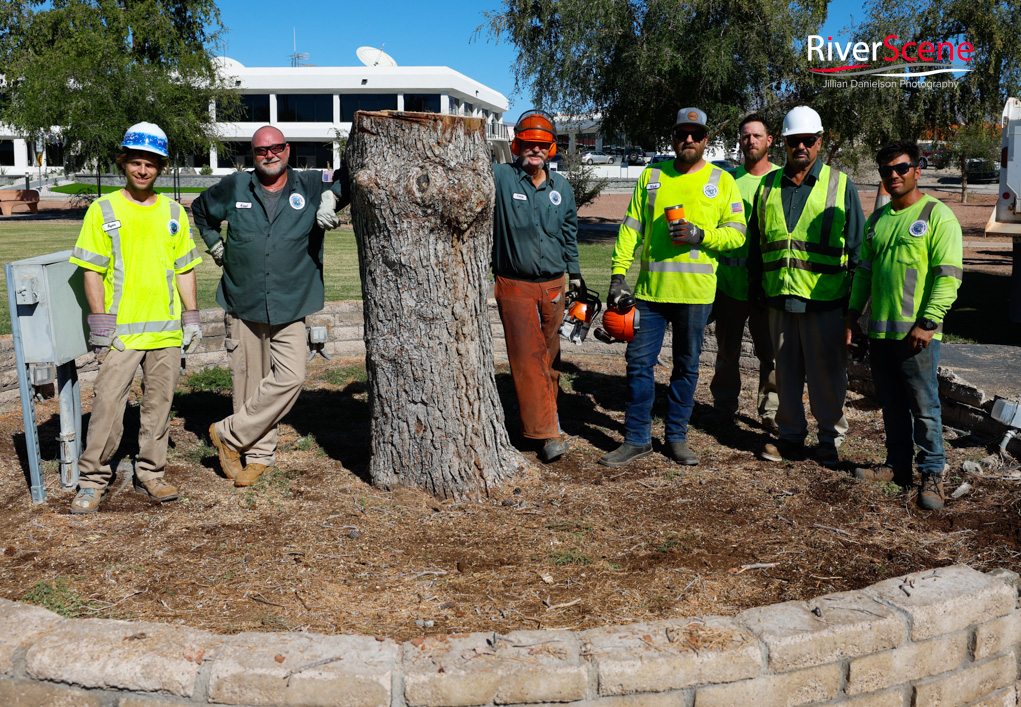 Christmas Tree Wheeler Park RiverScene Magazine Jillian Danielson Photography Havasu Pioneers Parks and Recreation Lake Havasu 
