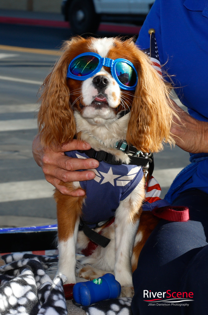 Veteran's Day Lake Havasu RiverScene Magazine