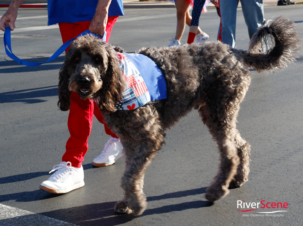 Veteran's Day Lake Havasu RiverScene Magazine