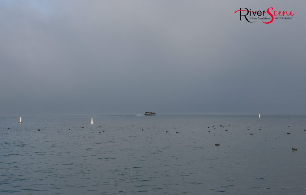 Fog Lake Havasu RiverScene Magazine Jillian Danielson Photography