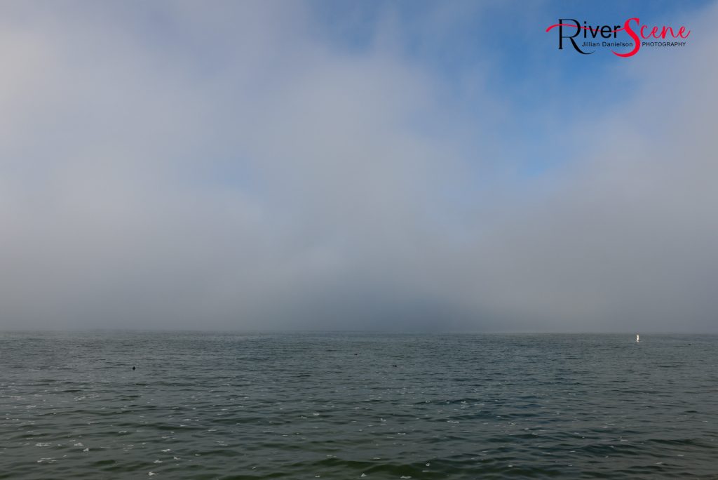 Fog Lake Havasu RiverScene Magazine Jillian Danielson Photography