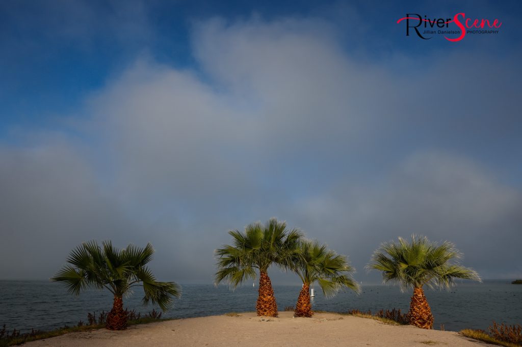 Fog Lake Havasu RiverScene Magazine Jillian Danielson Photography