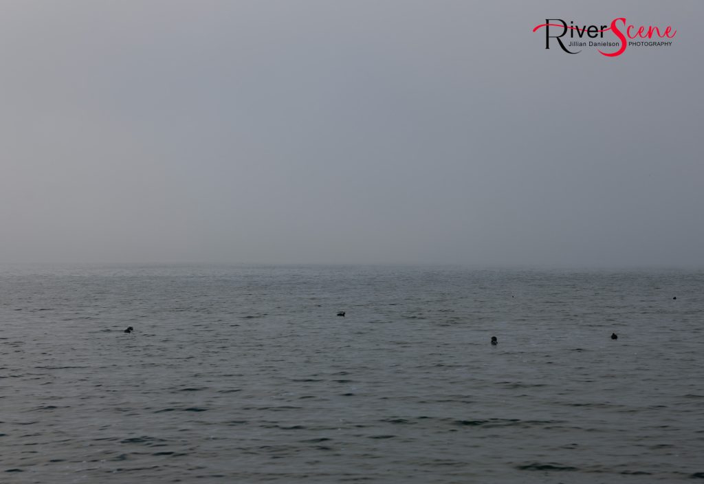 Fog Lake Havasu RiverScene Magazine Jillian Danielson Photography