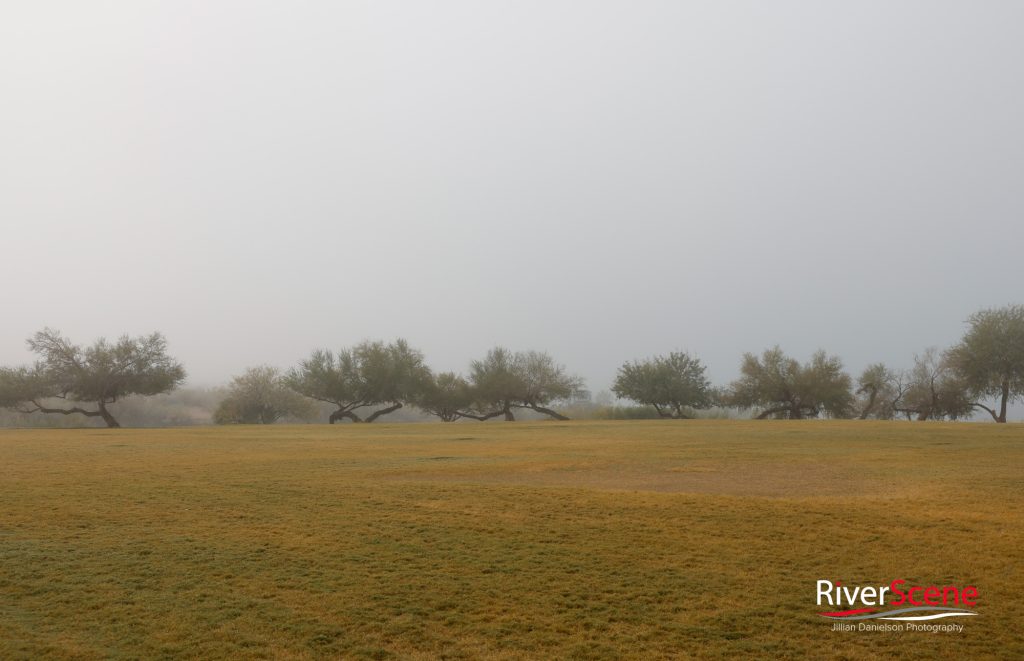 Fog Lake Havasu RiverScene Magazine Jillian Danielson Photography