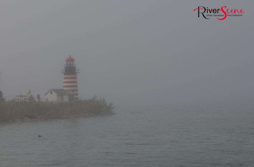 Fog Lake Havasu RiverScene Magazine Jillian Danielson Photography Lake Havasu State Park 