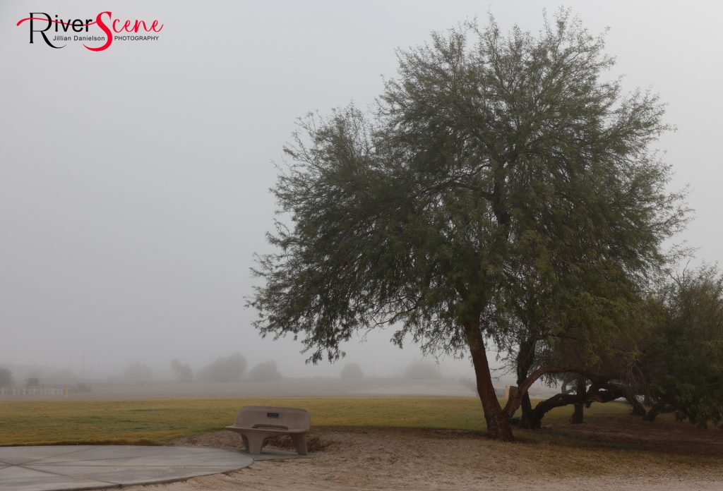 Fog Lake Havasu RiverScene Magazine Jillian Danielson Photography