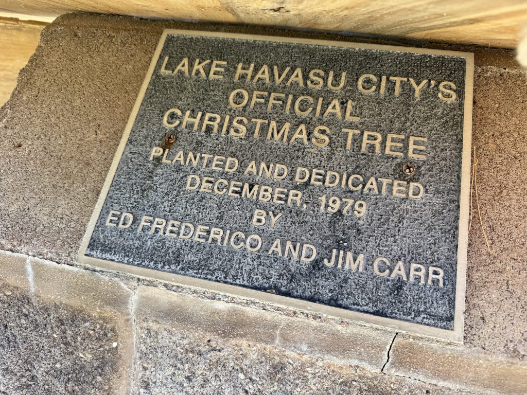 Christmas Tree Wheeler Park RiverScene Magazine Jillian Danielson Photography Havasu Pioneers Parks and Recreation Lake Havasu 