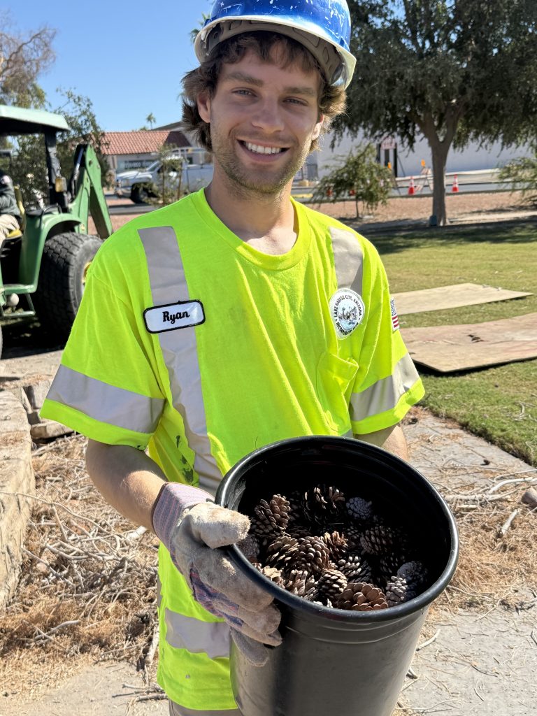 Christmas Tree Wheeler Park RiverScene Magazine Jillian Danielson Photography Havasu Pioneers Parks and Recreation Lake Havasu 