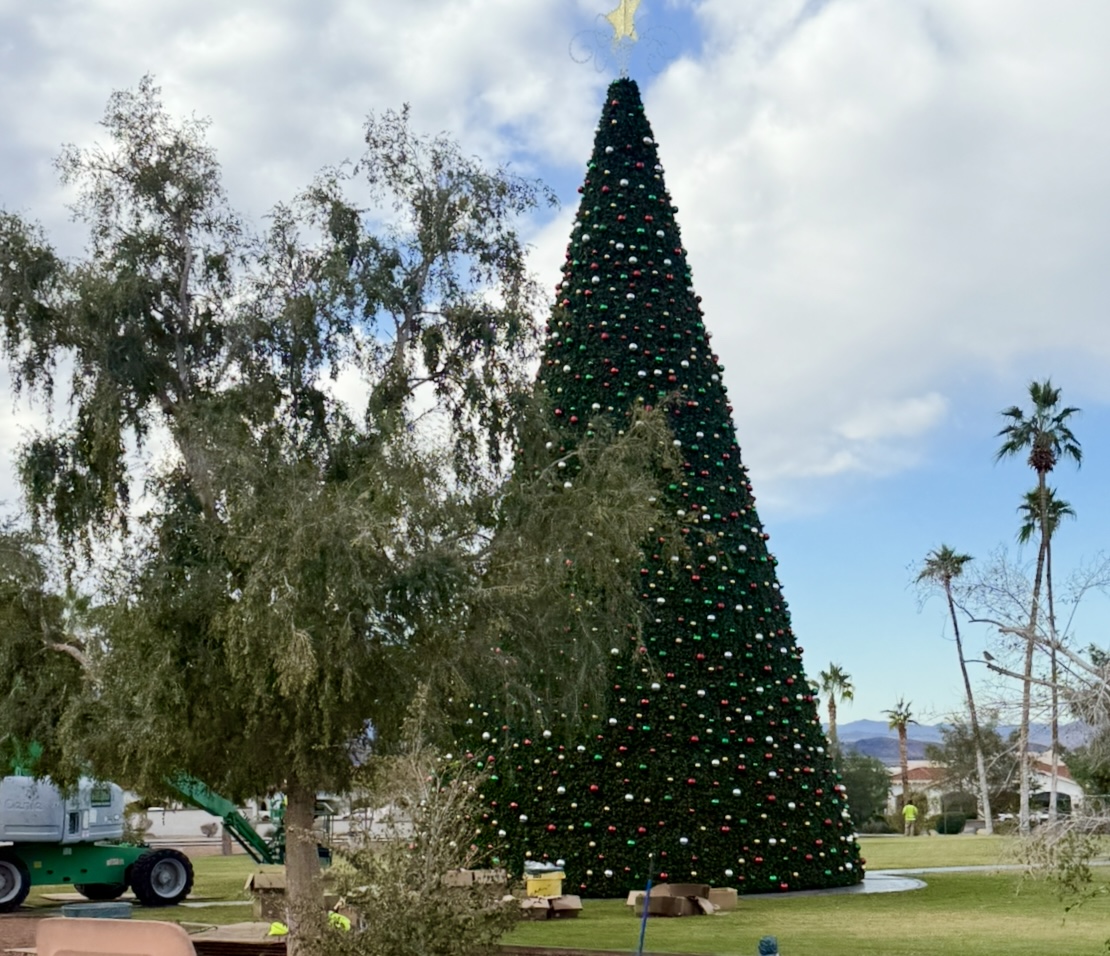 Tree Lighting at Wheeler Park