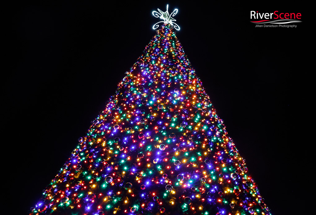 Wheeler Park Lake Havasu Christmas Tree Lighting RiverScene 