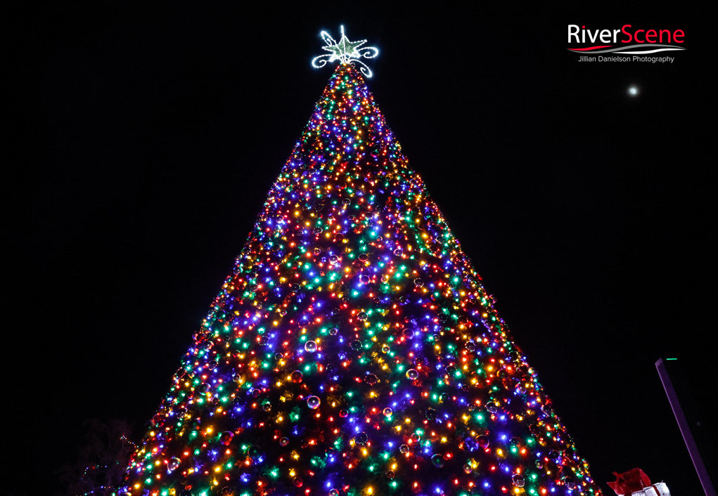 Wheeler Park Lake Havasu Christmas Tree Lighting RiverScene 