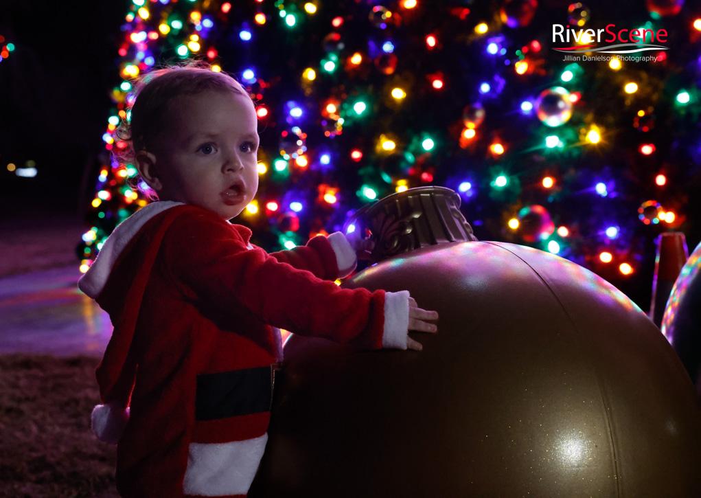 Wheeler Park Lake Havasu Christmas Tree Lighting RiverScene 