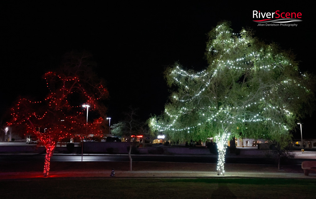Wheeler Park Lake Havasu Christmas Tree Lighting RiverScene 