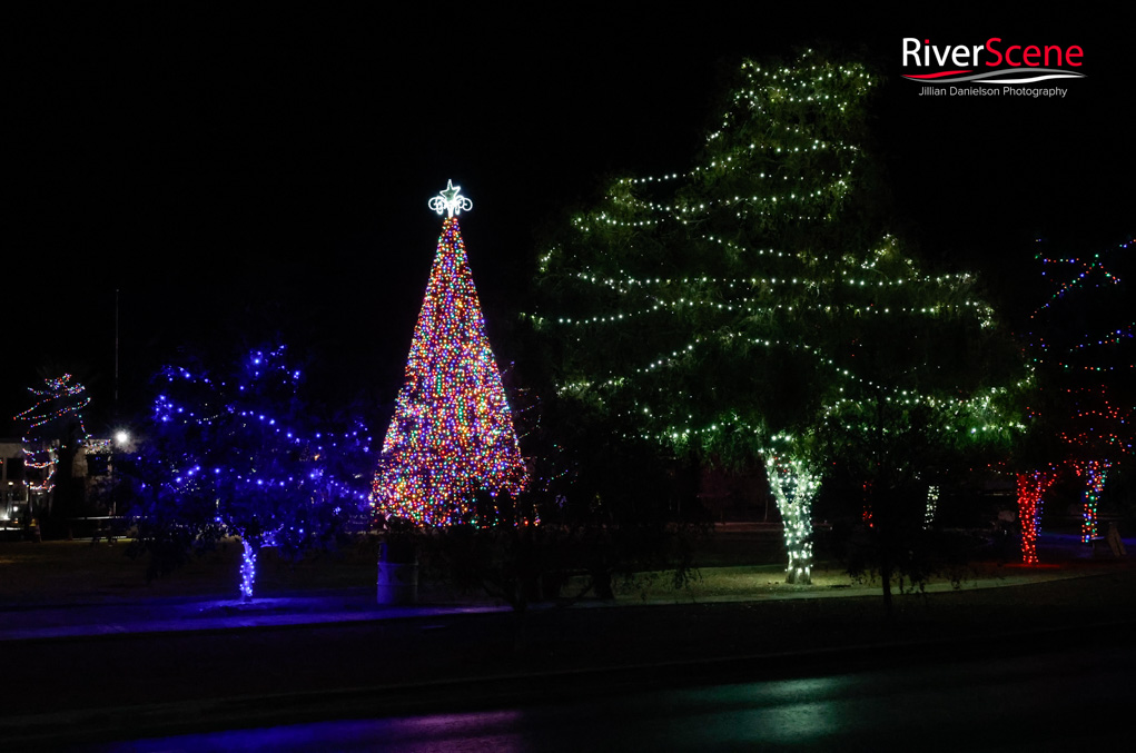 Wheeler Park Lake Havasu Christmas Tree Lighting RiverScene 