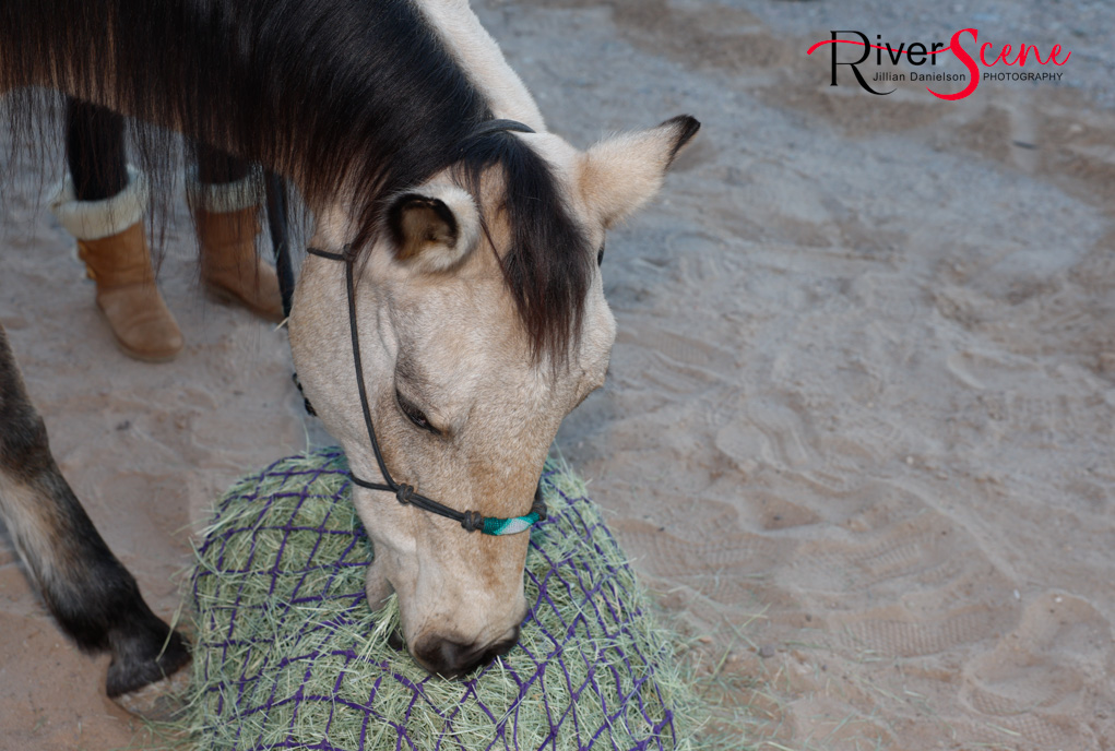 Drive through nativity 2025 calvary Lake Havasu