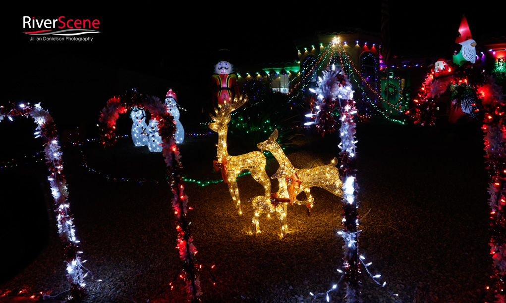 LIghts of Havasu Christmas 2025 RiverScene