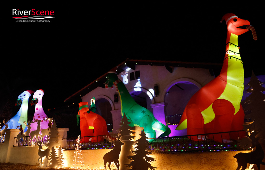 LIghts of Havasu Christmas 2025 RiverScene 