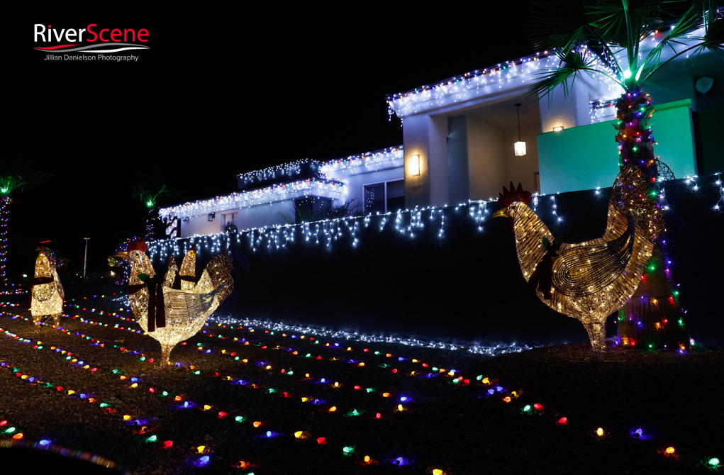 LIghts of Havasu Christmas 2025 RiverScene 