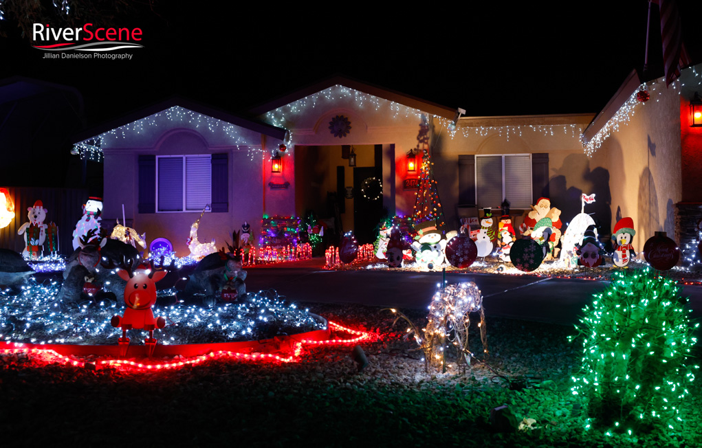 LIghts of Havasu Christmas 2025 RiverScene 