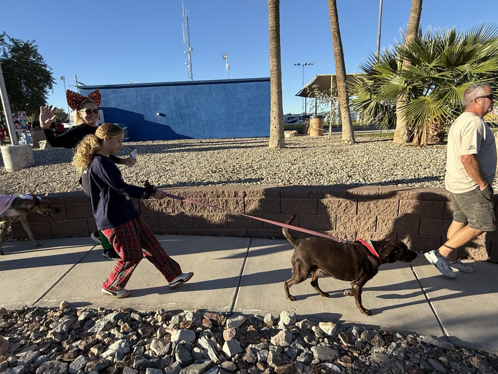 Jingle Bell Walk Havasu Community Health Foundation RiverScene Magazine 2025