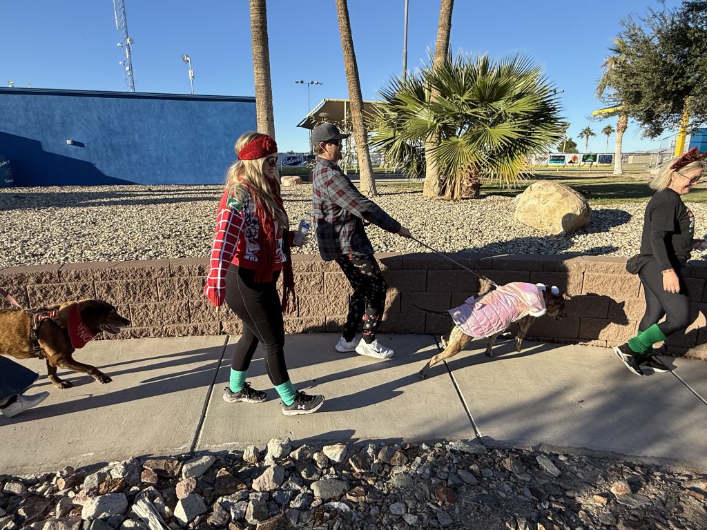 Jingle Bell Walk Havasu Community Health Foundation RiverScene Magazine 2025