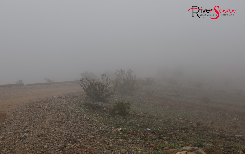 London Bridge Lake Havasu Fog RiverScene Magazine Jillian Danielson Photography