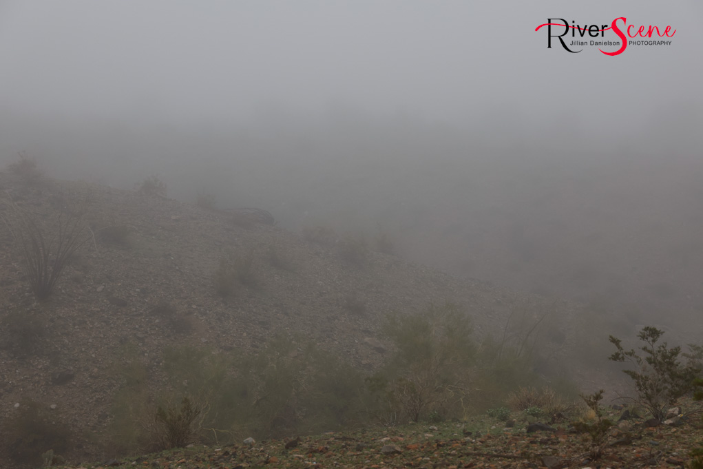 London Bridge Lake Havasu Fog RiverScene Magazine Jillian Danielson Photography