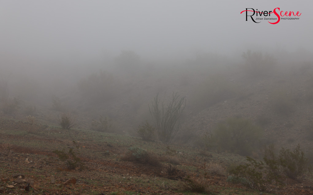 London Bridge Lake Havasu Fog RiverScene Magazine Jillian Danielson Photography