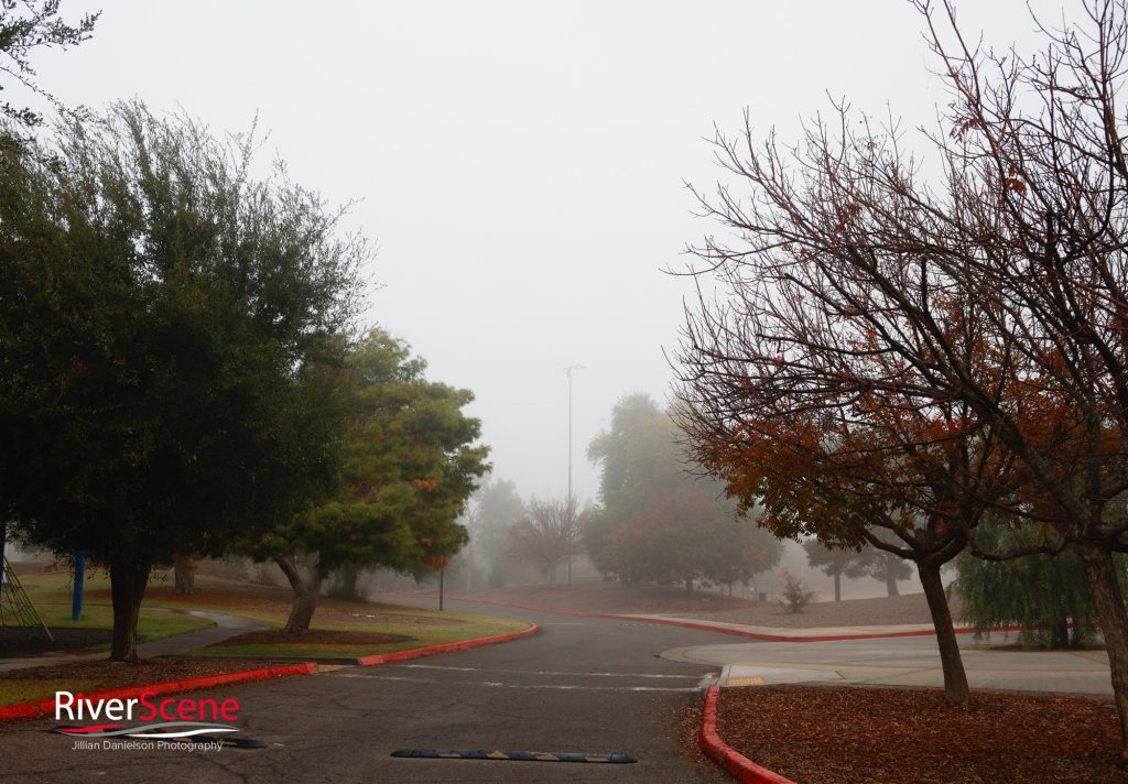 Rotary Park Lake Havasu Fog RiverScene Magazine Jillian Danielson Photography