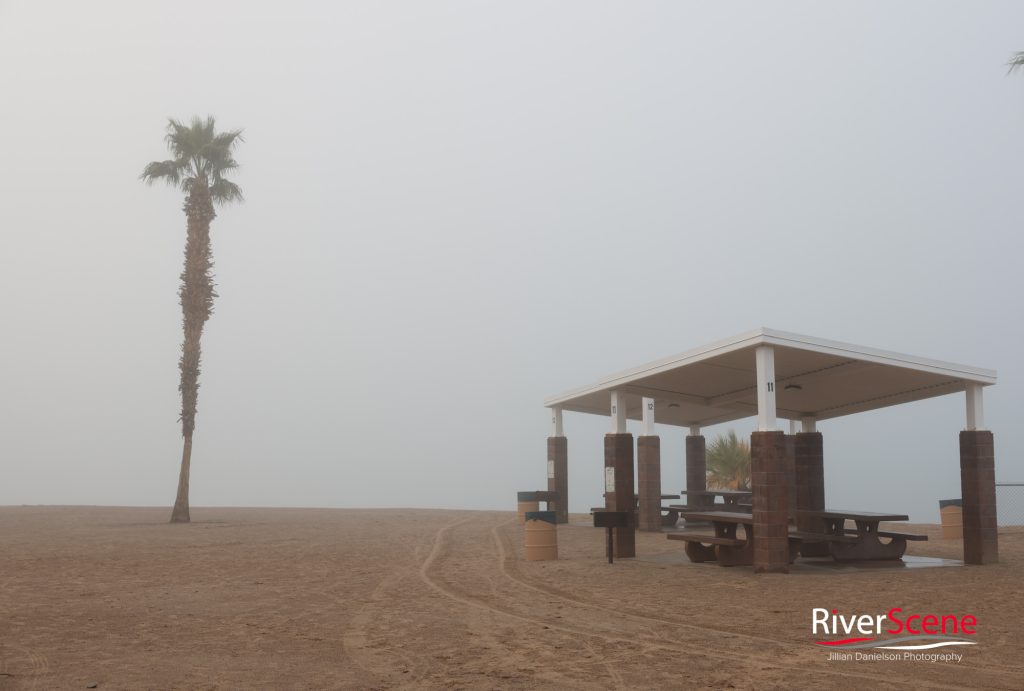 Rotary Beach Lake Havasu Fog RiverScene Magazine Jillian Danielson Photography