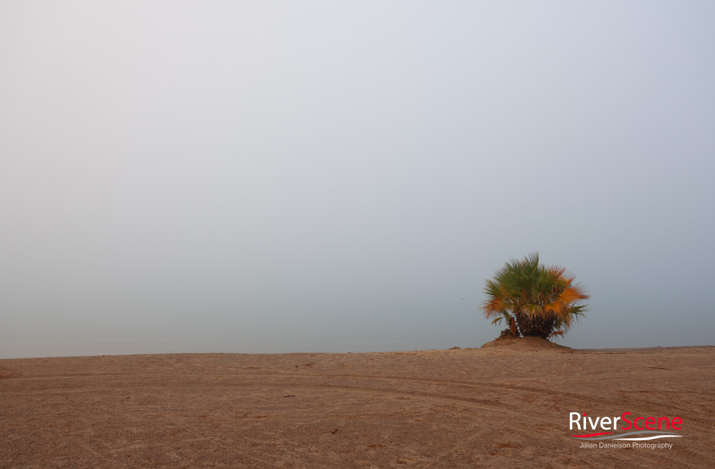 London Bridge Rotary Beach Lake Havasu Fog RiverScene Magazine Jillian Danielson Photography