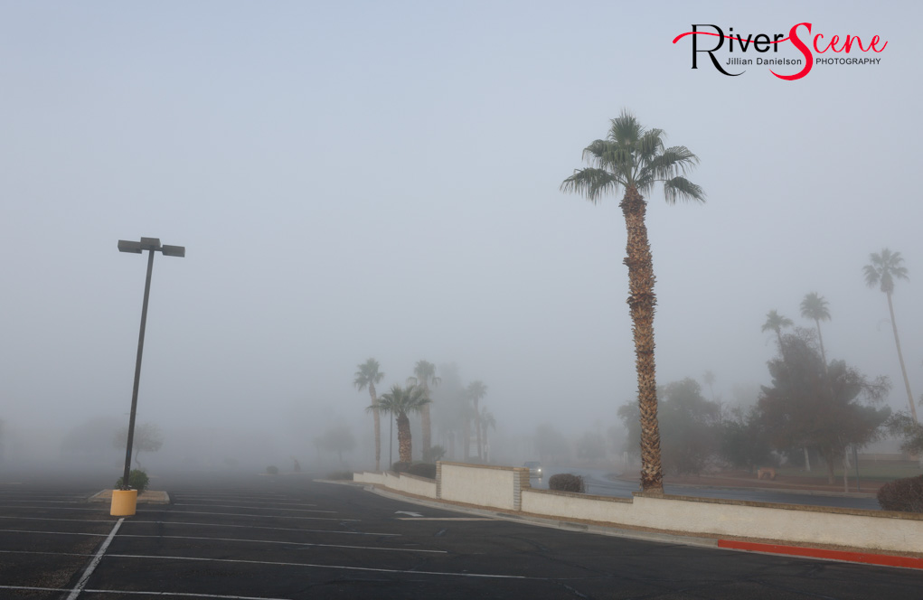 London Bridge Lake Havasu Fog RiverScene Magazine Jillian Danielson Photography