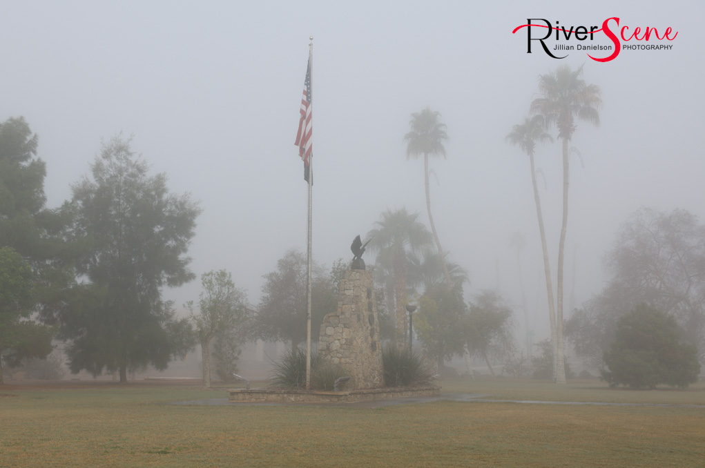 Wheeler Park Lake Havasu Fog RiverScene Magazine Jillian Danielson Photography