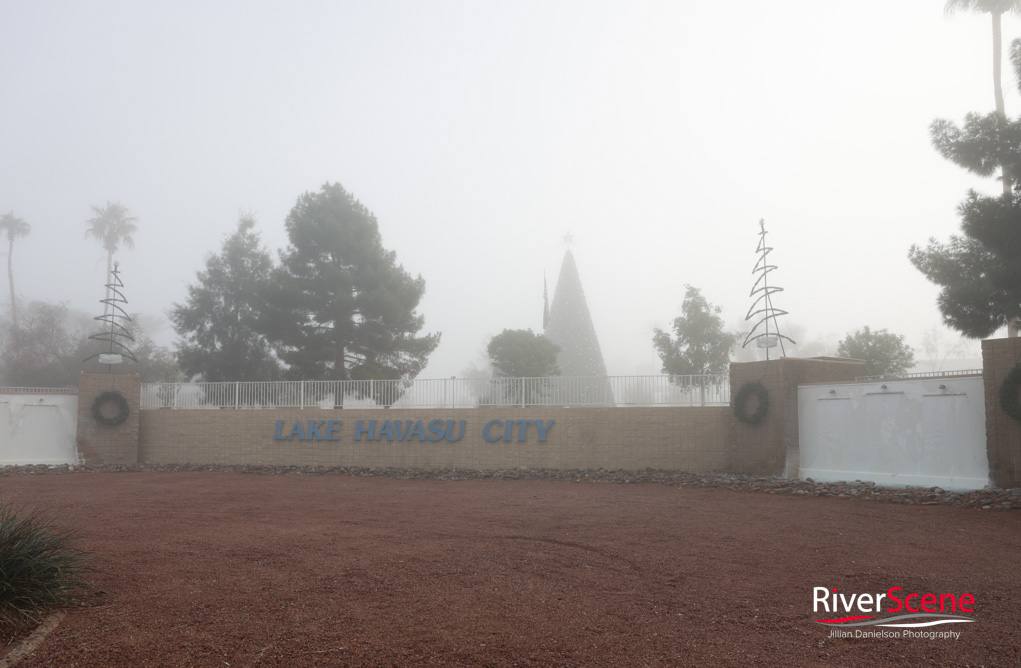 Wheeler Park Lake Havasu Fog RiverScene Magazine Jillian Danielson Photography